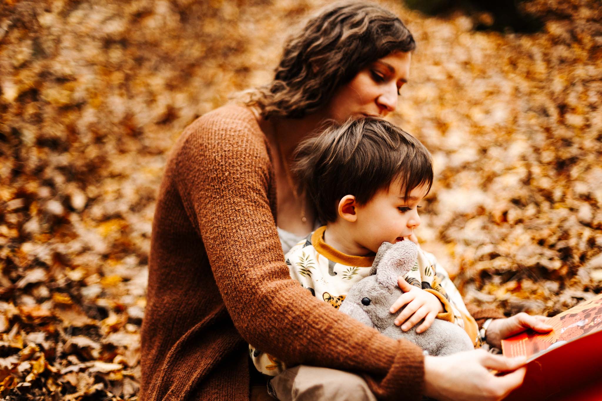 Famille Cécile